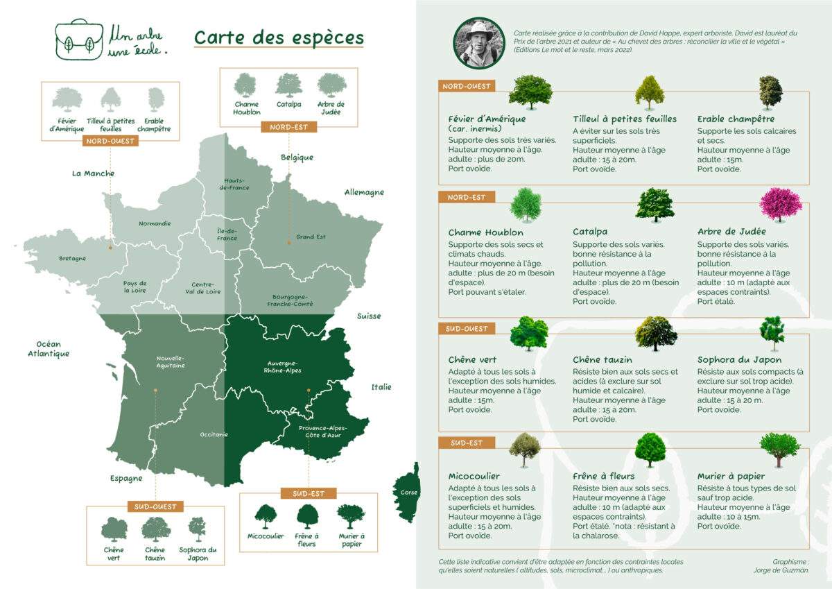 Un Arbre Une cole Le R le Des Mairies un-arbre-une-cole-le-r-le-des-mairies